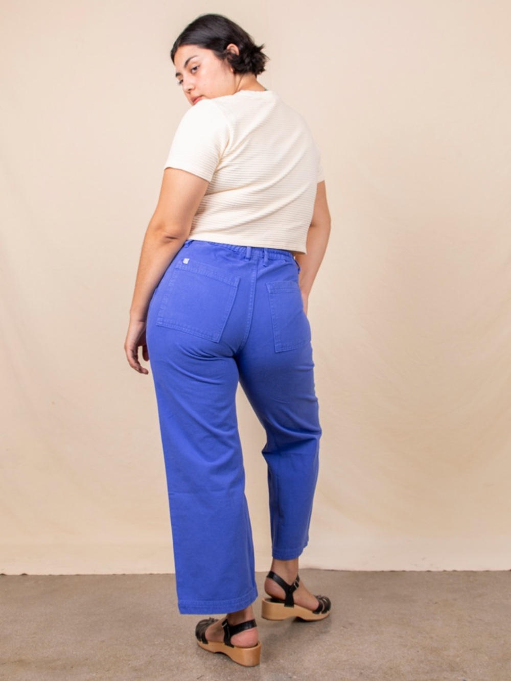 Big Bud Press Work Pants in Cornflower